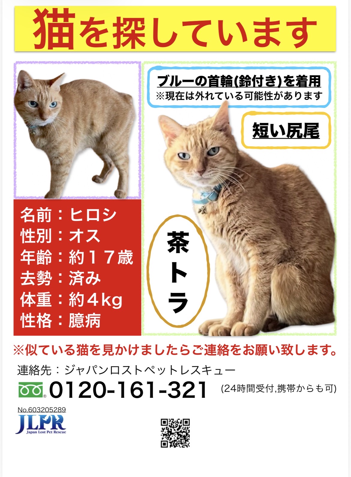 ペットの画像