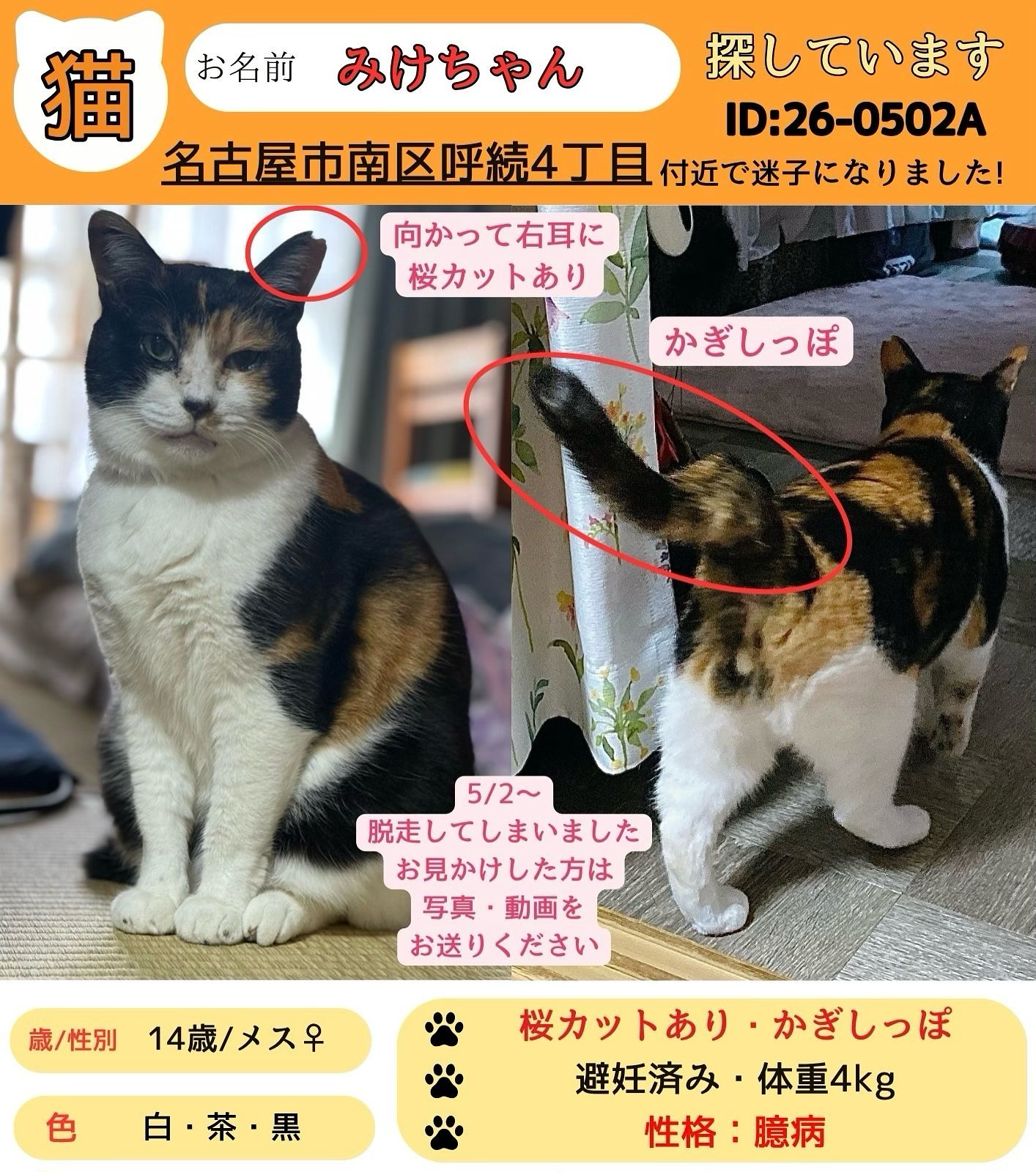 ペットの画像