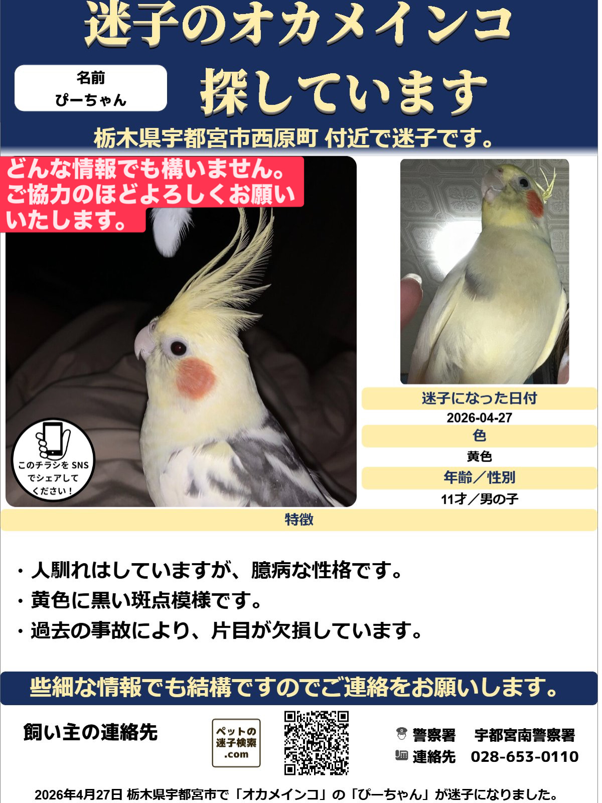 ペットの画像