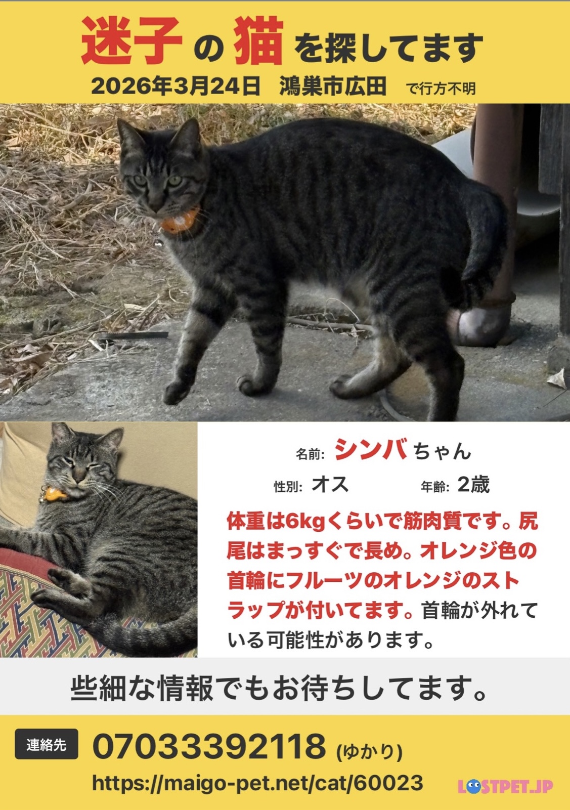 ペットの画像