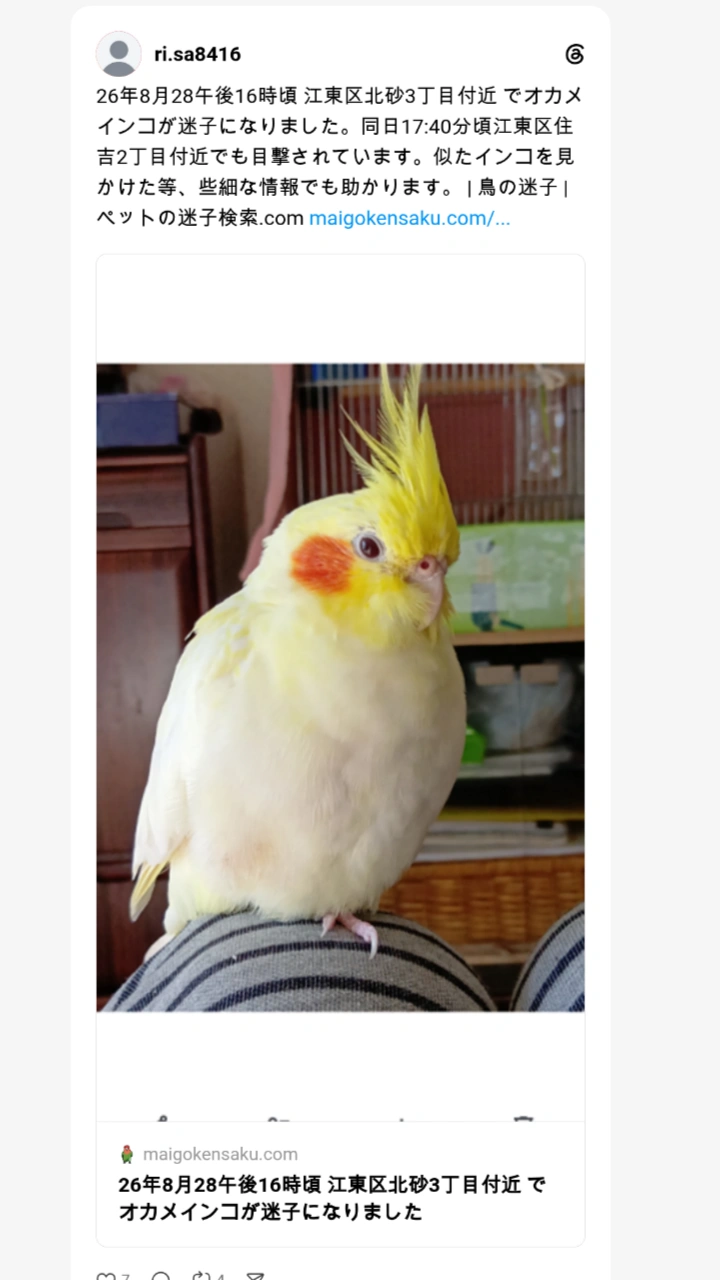 ペットの画像